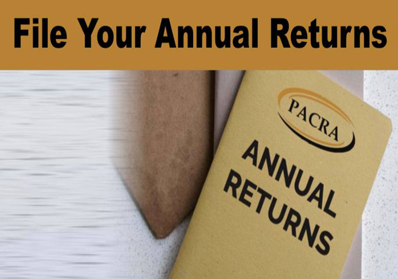 Annual Returns